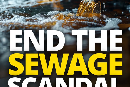 END THE SEWAGE SCANDAL in large text, with a pipe and a Liberal Democrats logo
