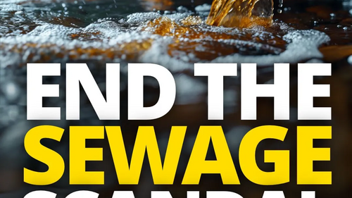 END THE SEWAGE SCANDAL in large text, with a pipe and a Liberal Democrats logo